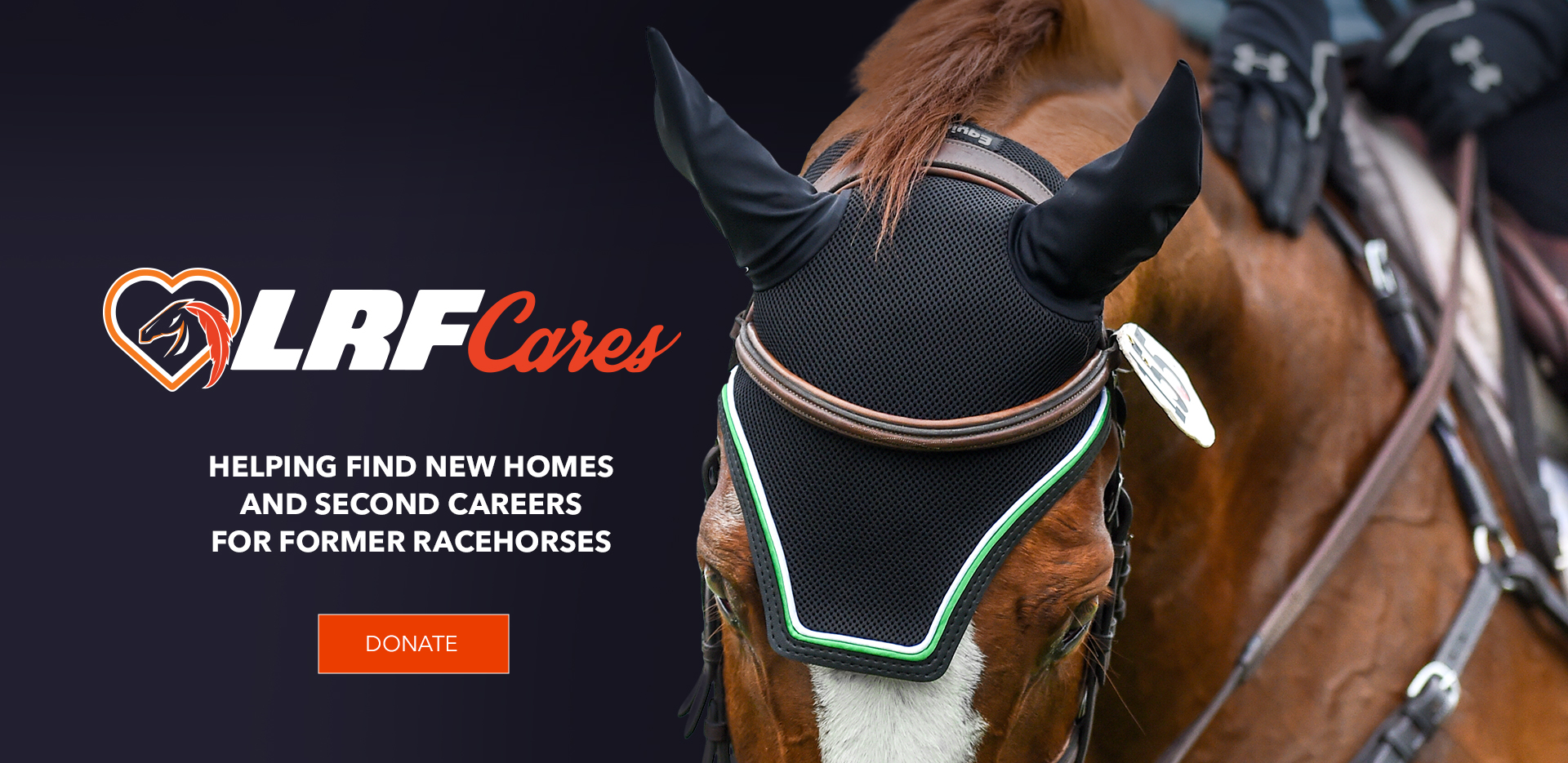 LRF Cares Helping Find New Homes And Second Careers For Former Racehorses